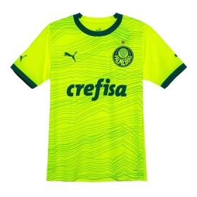 Camisolas Palmeiras 3º Equipamento 2023-24 Manga Curta